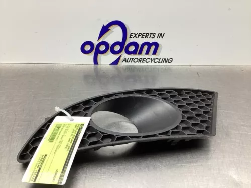 Afdekplaat mistlamp links-8254537 (21571061)