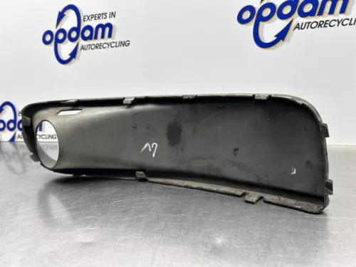 Afdekplaat mistlamp links-8310699 (22534465)