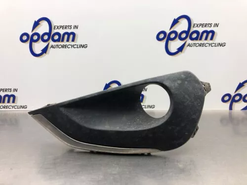 Afdekplaat mistlamp rechts-8210629 (21474277)