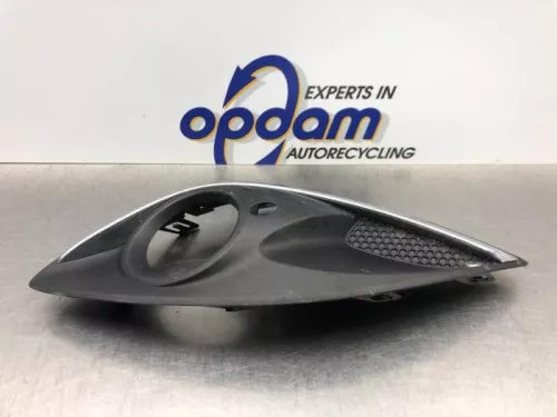 Afdekplaat mistlamp rechts-8099823 (21045158)