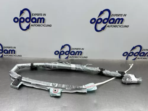Airbag hemel links-8246769