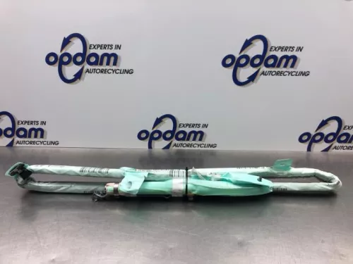 Airbag hemel links-8101100