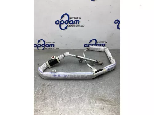 Airbag hemel links-8077827 (19909221)