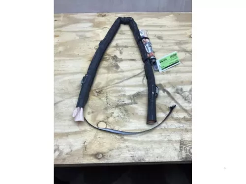Airbag hemel links-7715694 (16811907)
