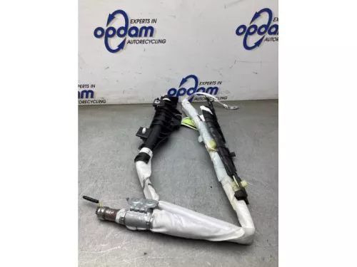 Airbag hemel links-8291803 (22389919)