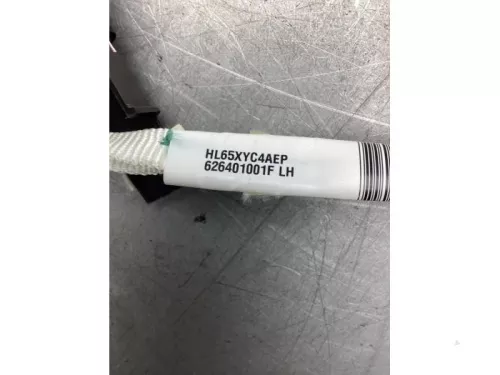 Airbag hemel links-7913706 (20503481)