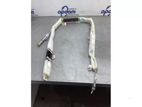 Airbag hemel links-8125529