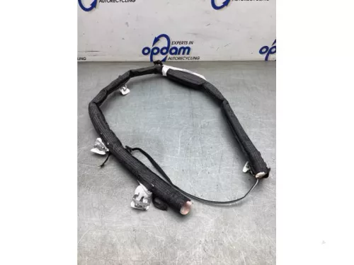 Airbag hemel links-8118846