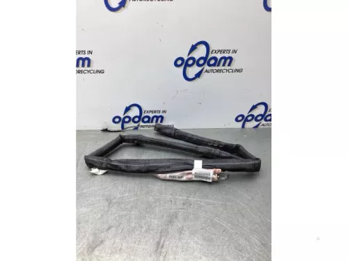 Airbag hemel rechts-7936875 (20923926)