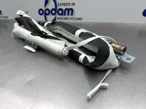 Airbag hemel rechts-8170729 (22577864)