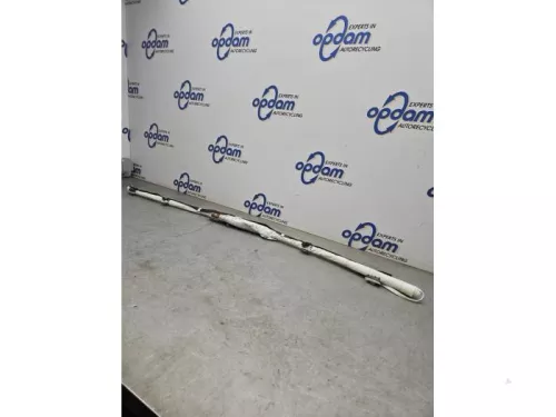 Airbag hemel rechts-8079170 (21826106)
