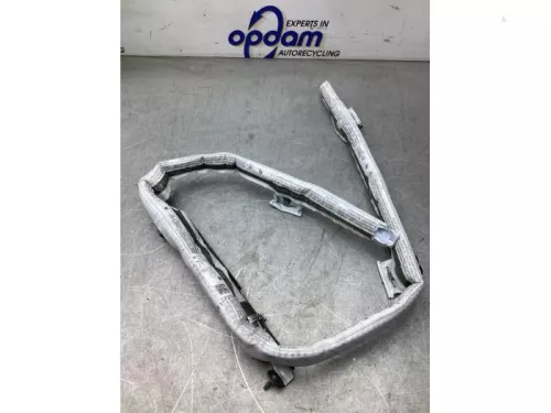Airbag hemel rechts-8052671 (20283779)