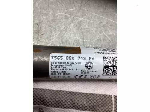 Airbag hemel rechts-8190783 (21236715)