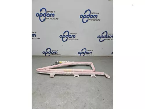 Airbag hemel rechts-7912223 (22259011)