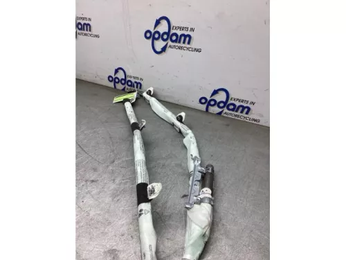 Airbag hemel rechts-8239140 (22357169)
