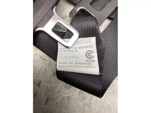 Airbag Set+Module-8061244 (18997277)