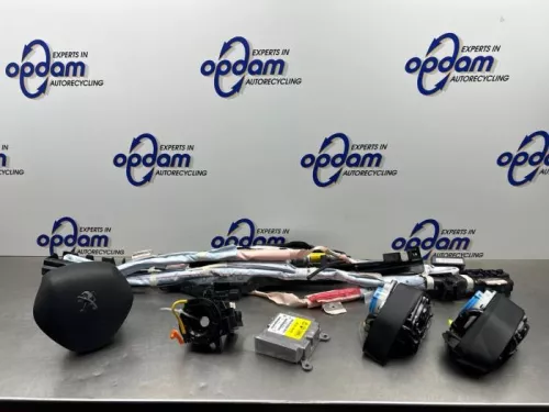 Airbag Set+Module-8303821 (22407469)