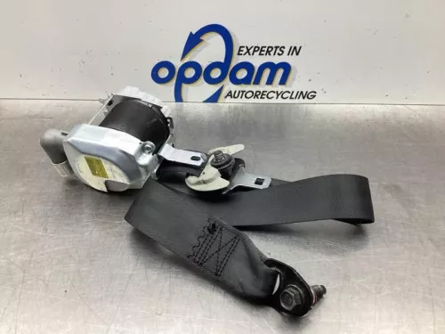Airbag Set+Module-7915330 (18271838)