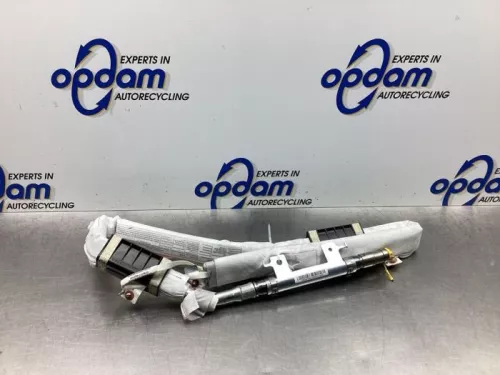 Airbag Set+Module-7915330 (18271838)