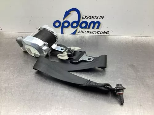 Airbag Set+Module-7915330 (18271838)