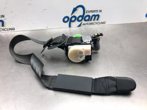 Airbag Set+Module-6923658 (15650598)