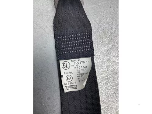 Airbag Set+Module-7855303 (17214879)