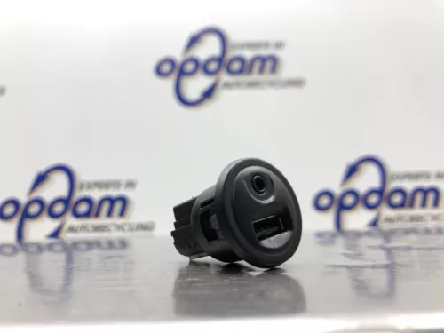 AUX/USB aansluiting-8210629 (21473654)