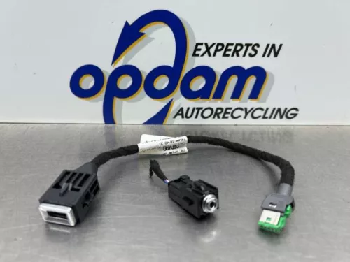 AUX/USB aansluiting-8301989 (22428097)