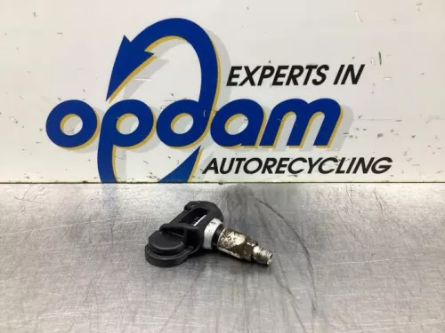 Bandenspanningsensor-8095316 (19501436)