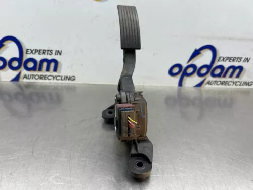 Gaspedaal-8360069