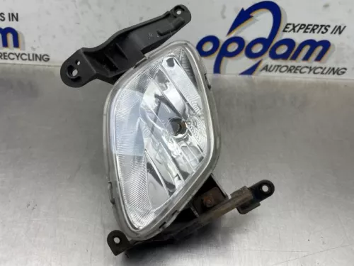 Mistlamp links-voor-8260866