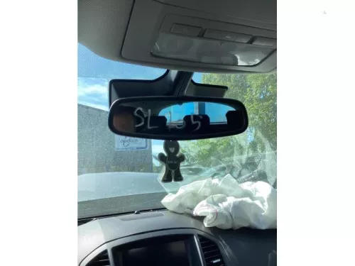 Binnenspiegel-8293334