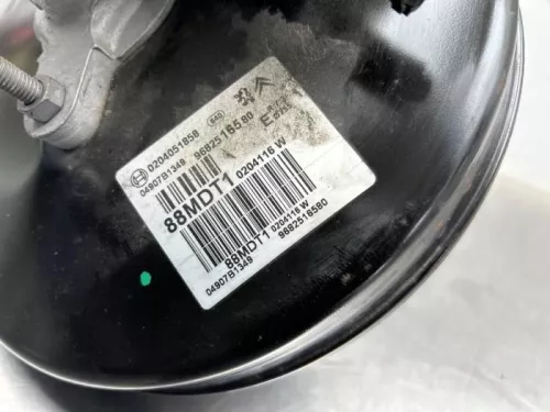 Rembekrachtiger-8379803