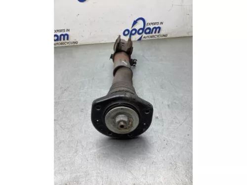 Schokdemperpoot rechts-voor-8287250