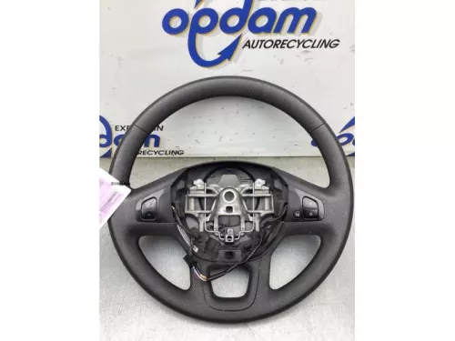 Stuurwiel-8277568