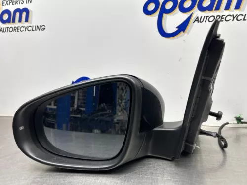 Buitenspiegel links-8376649