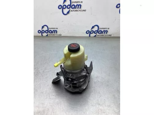 Stuurbekrachtiging Pomp-8277568