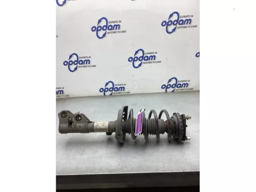 Schokdemperpoot rechts-voor-7856700