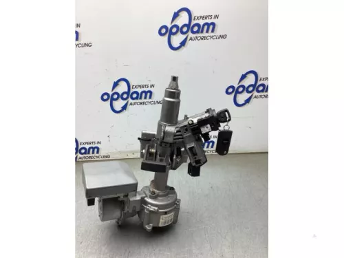 Stuurkolom Huis-8280244