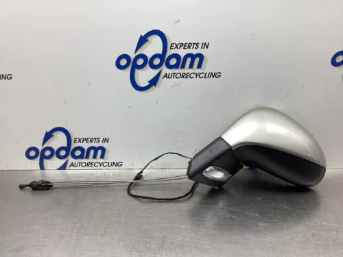 Buitenspiegel links-8066029