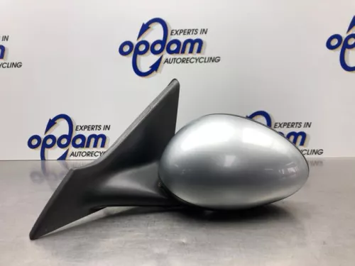 Buitenspiegel links-8242847