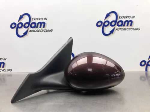 Buitenspiegel links-8249431