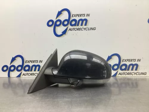 Buitenspiegel links-8105766