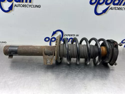 Schokdemperpoot links-voor-8271492