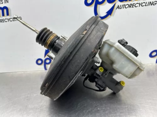 Rembekrachtiger-8271492