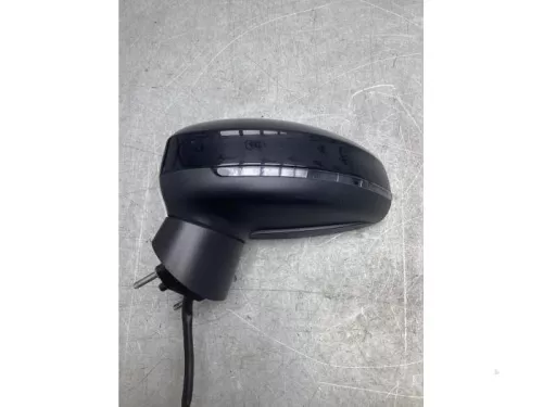 Buitenspiegel links-8114314