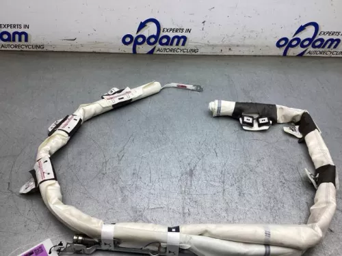 Airbag hemel rechts-8269067