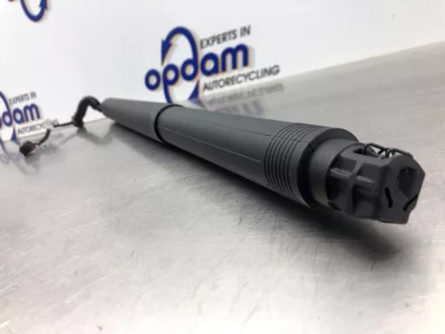 Gasdemper rechts-achter-