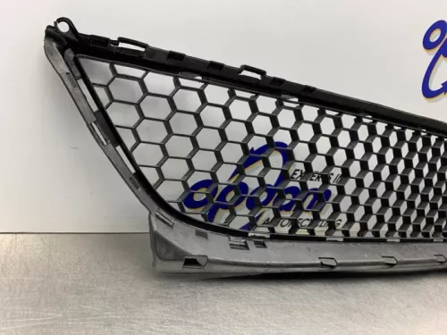 Bumper Rooster-8239553 (21504504)