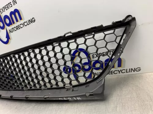 Bumper Rooster-8239553 (21504504)